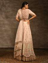 AAFREEN