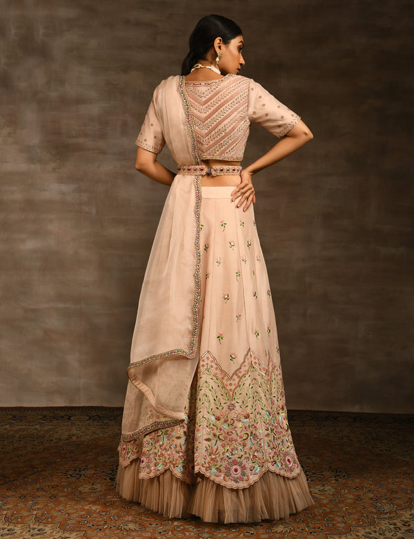 AAFREEN